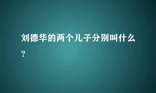 刘德华的两个儿子分别叫什么？