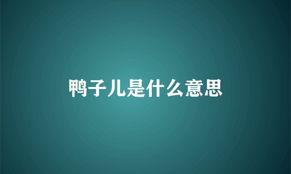 鸭子儿是什么意思