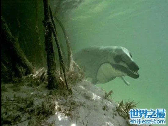 伊西斯龙王鲸是一种远古生物,曾是海洋中的霸主