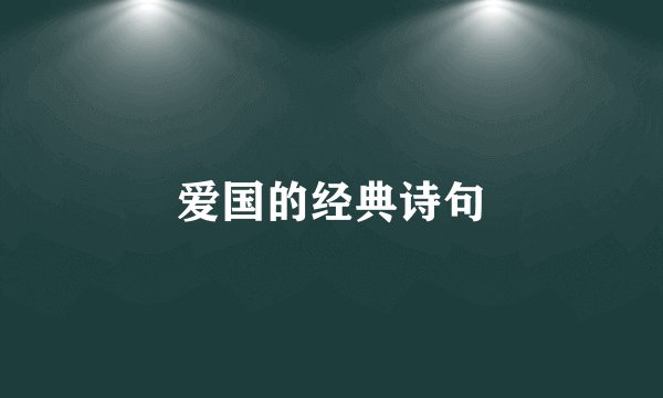 爱国的经典诗句