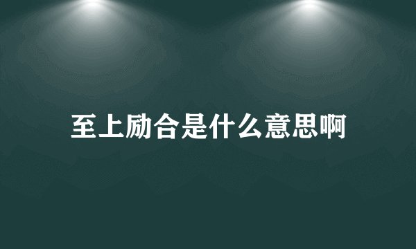 至上励合是什么意思啊