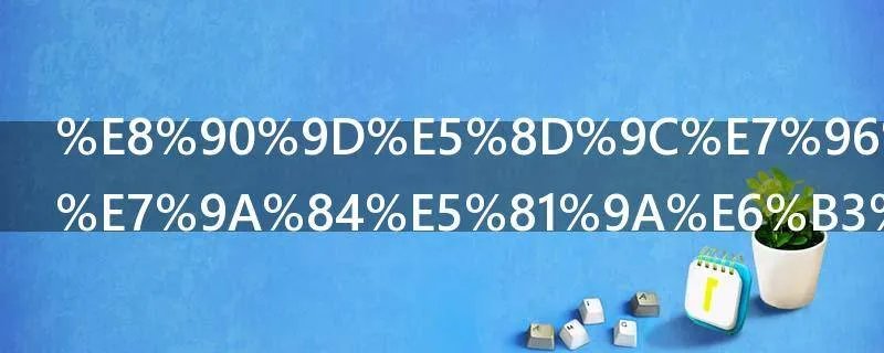 萝卜疙瘩汤的做法