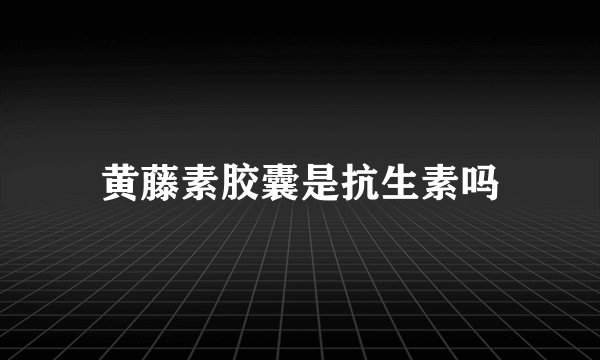 黄藤素胶囊是抗生素吗