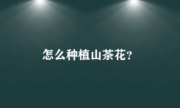 怎么种植山茶花？