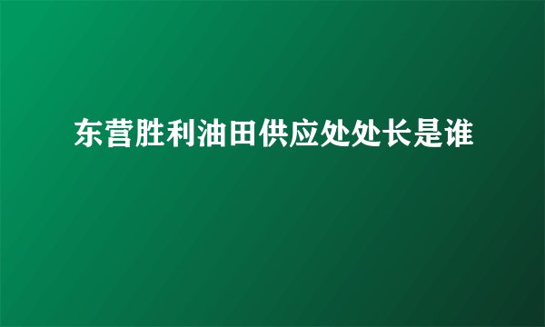东营胜利油田供应处处长是谁
