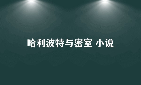 哈利波特与密室 小说