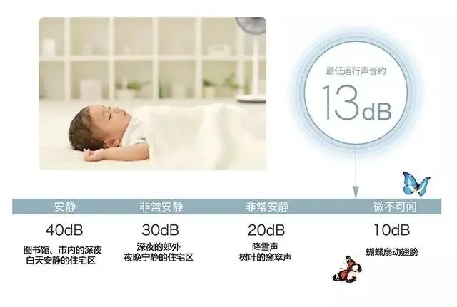 蝴蝶的翅膀可以引起飓风,可你听到过蝴蝶扇动翅膀的声音吗?