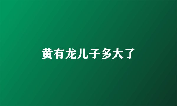 黄有龙儿子多大了