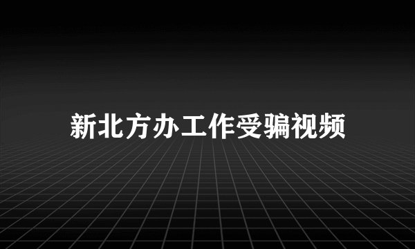 新北方办工作受骗视频