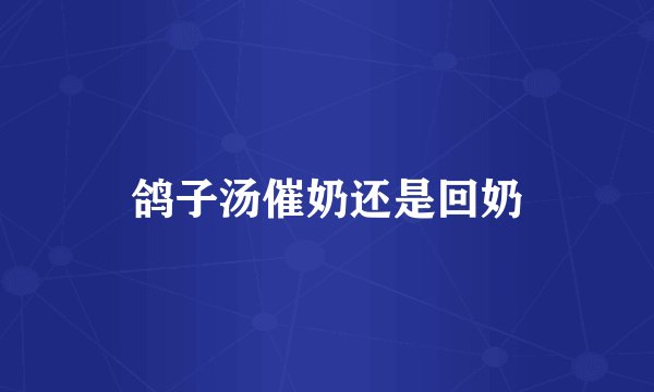 鸽子汤催奶还是回奶
