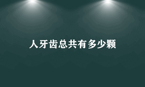 人牙齿总共有多少颗