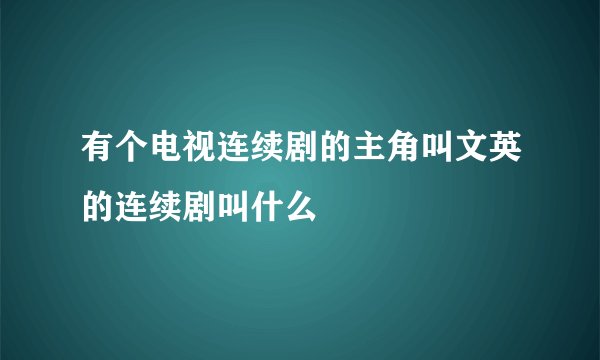 有个电视连续剧的主角叫文英的连续剧叫什么