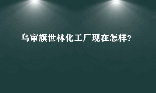 乌审旗世林化工厂现在怎样？