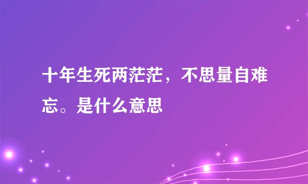 十年生死两茫茫,不思量自难忘。是什么意思