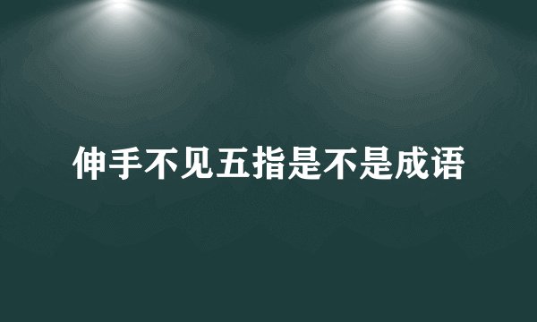 伸手不见五指是不是成语