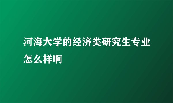 河海大学的经济类研究生专业怎么样啊