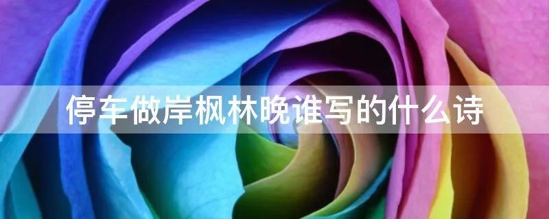 停车做岸枫林晚谁写的什么诗