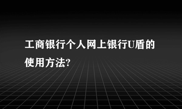 工商银行个人网上银行U盾的使用方法?