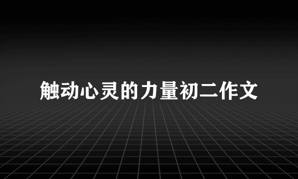 触动心灵的力量初二作文