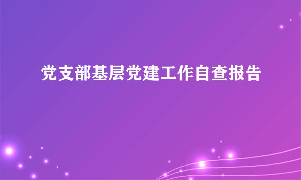 党支部基层党建工作自查报告
