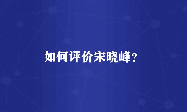 如何评价宋晓峰？