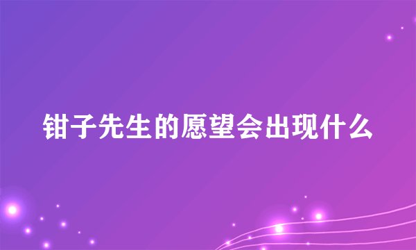 钳子先生的愿望会出现什么
