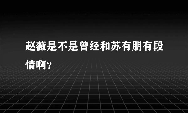 赵薇是不是曾经和苏有朋有段情啊?