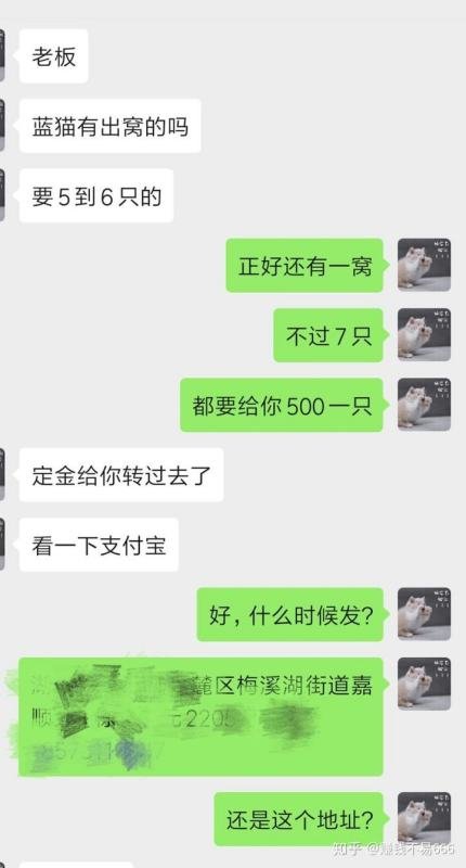 开个宠物店大概多少钱？