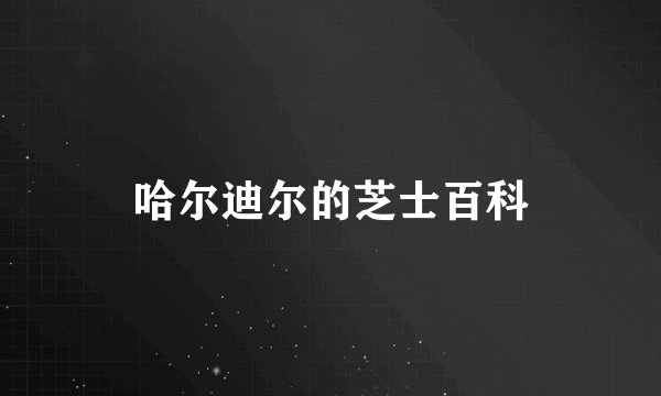 哈尔迪尔的芝士百科