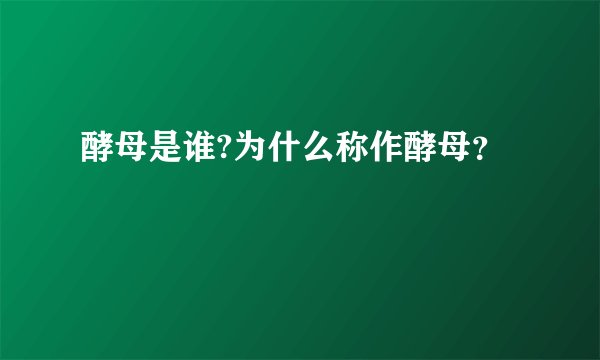 酵母是谁?为什么称作酵母？