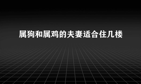 属狗和属鸡的夫妻适合住几楼