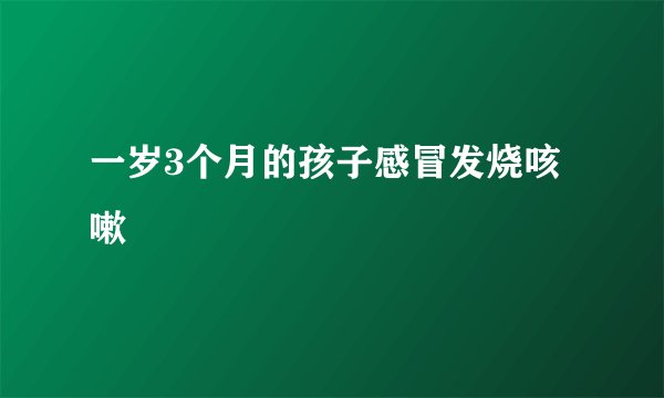 一岁3个月的孩子感冒发烧咳嗽