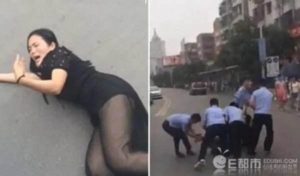碰瓷哥的简介