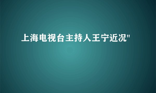 上海电视台主持人王宁近况