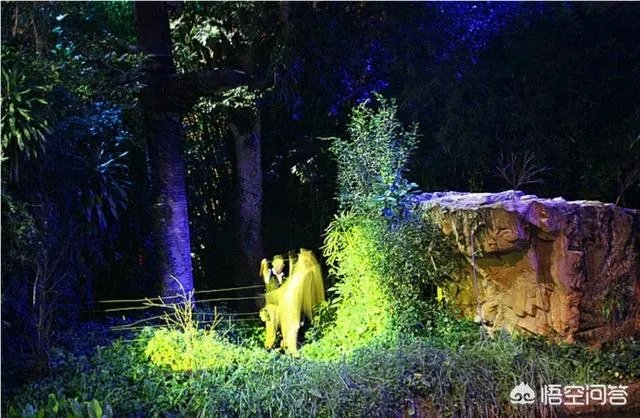 去新加坡旅游,一定不能错过的旅游景点有哪些?