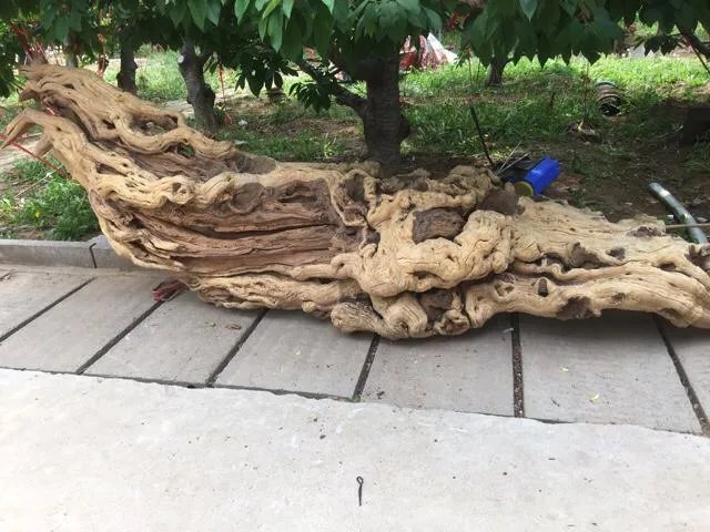 根雕的艺术价值在哪里？大型的根雕作品有哪些？