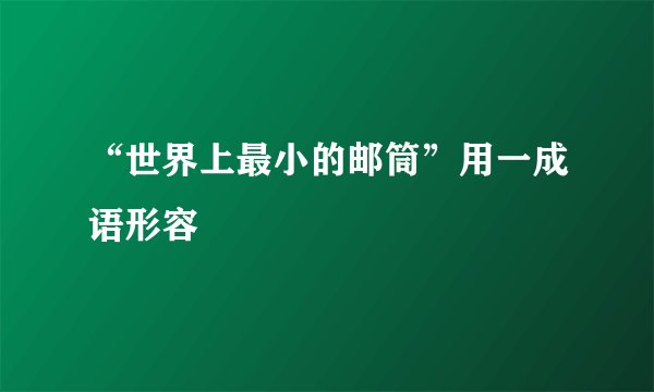 “世界上最小的邮筒”用一成语形容