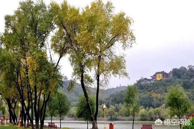 小白怎么学习摄影?