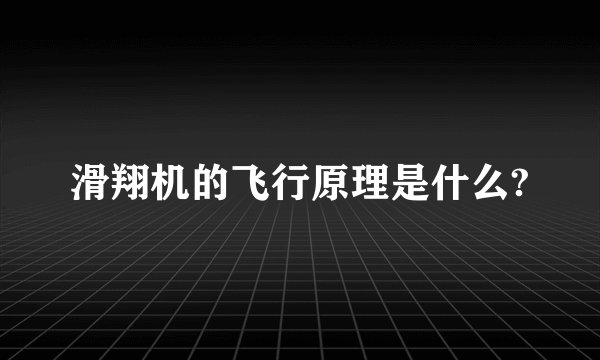 滑翔机的飞行原理是什么?