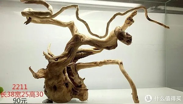 造景 篇一:小白也能玩草缸—聊一聊我的水草缸造景历程