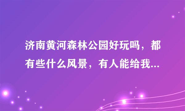 济南黄河森林公园好玩吗，都有些什么风景，有人能给我做下介绍吗