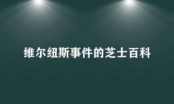 维尔纽斯事件的芝士百科