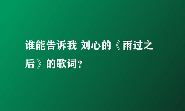 谁能告诉我 刘心的《雨过之后》的歌词？