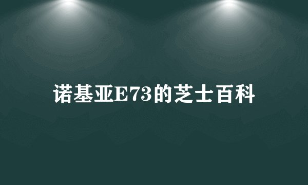 诺基亚E73的芝士百科