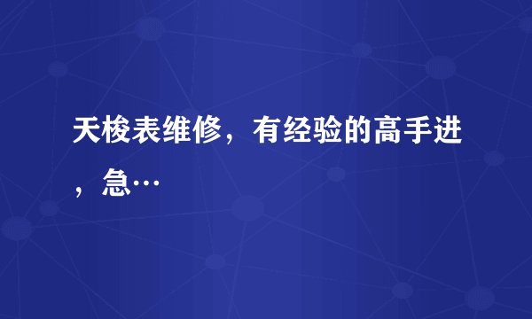 天梭表维修，有经验的高手进，急…
