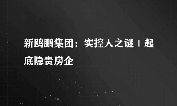 新鸥鹏集团:实控人之谜|起底隐贵房企