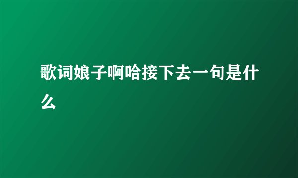 歌词娘子啊哈接下去一句是什么