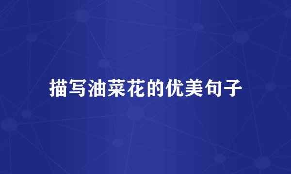 描写油菜花的优美句子