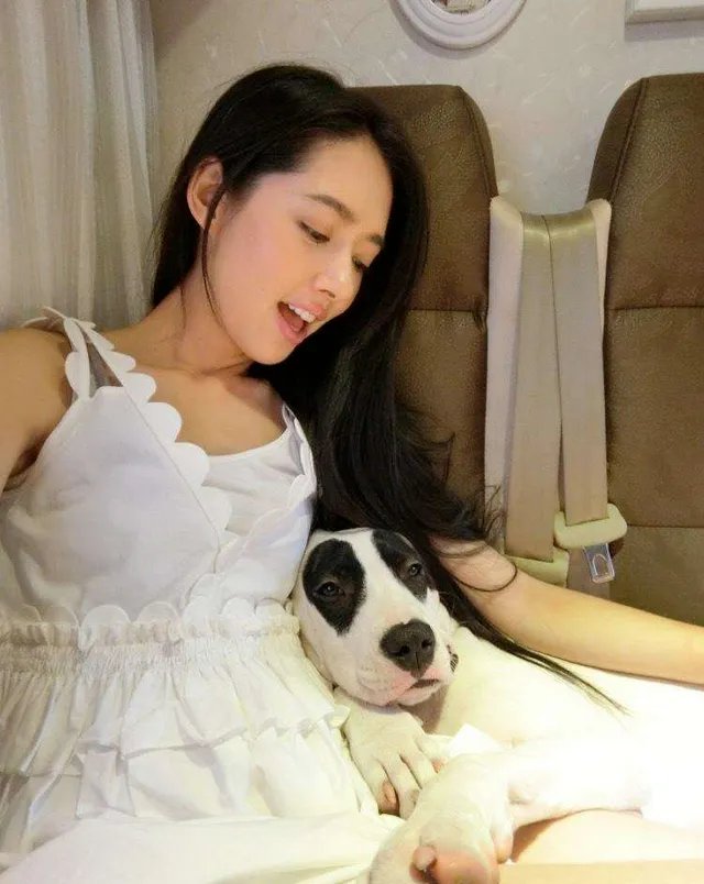 向太对郭碧婷已生女的谣言都表达了什么?