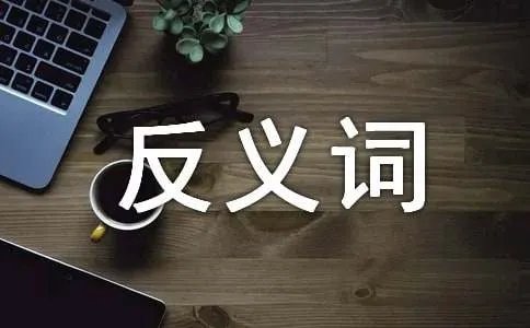 保留的反义词